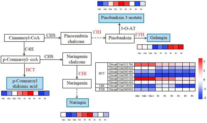 Figure 7