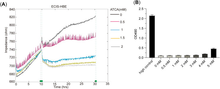 Figure 4
