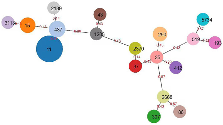 Figure 4