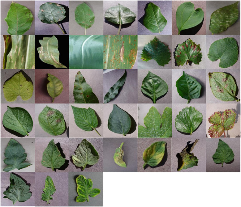 Figure 1