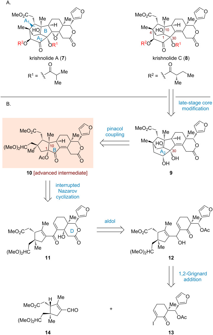 Scheme 1