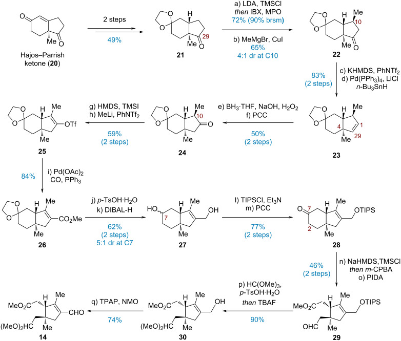 Scheme 3