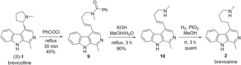 Scheme 2
