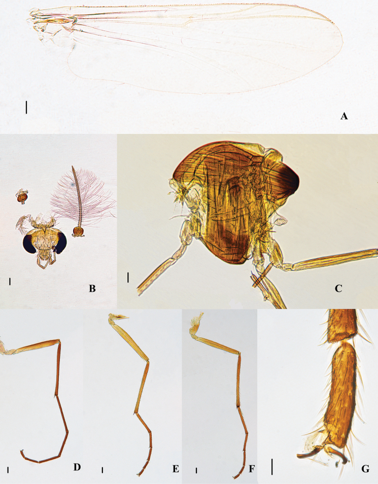 Figure 7