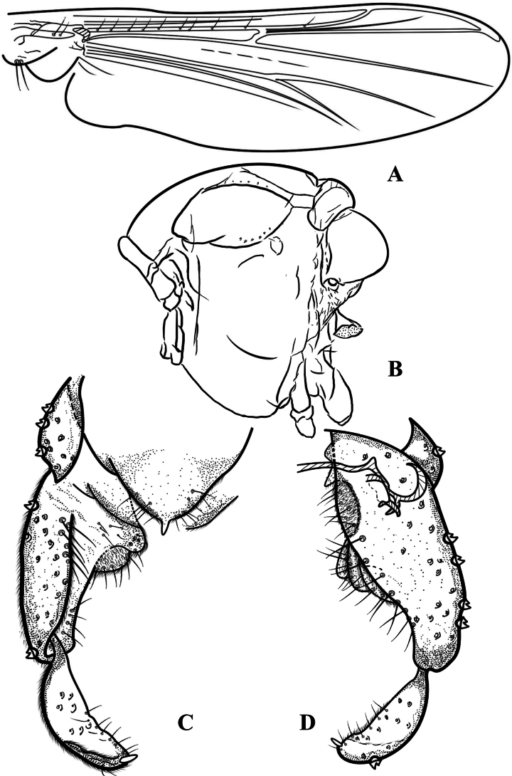 Figure 9