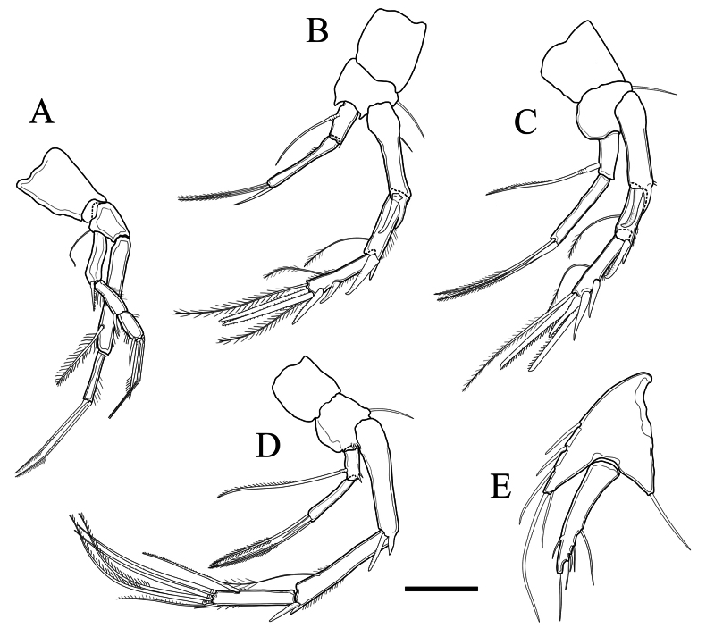 Figure 8