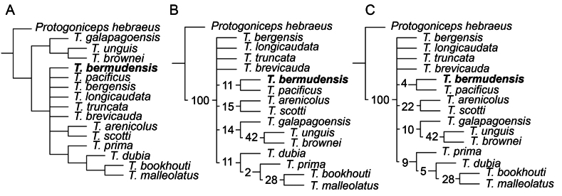 Figure 9