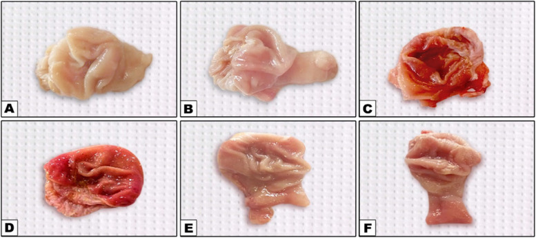 Figure 24