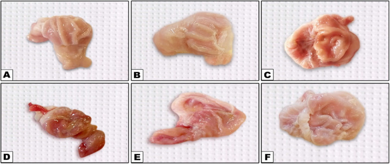 Figure 25