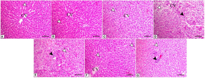 Figure 26