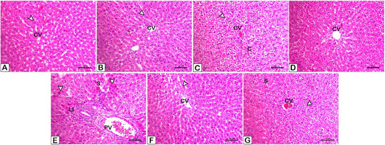 Figure 27