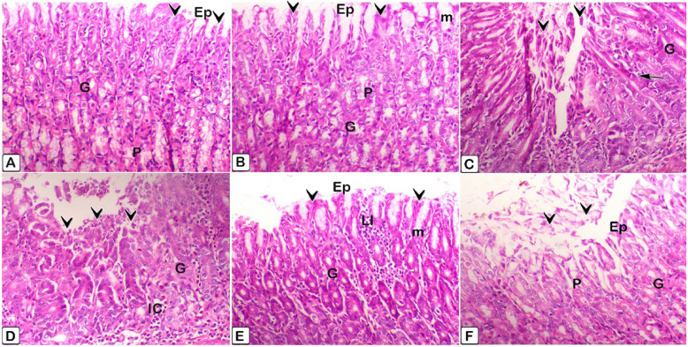 Figure 28
