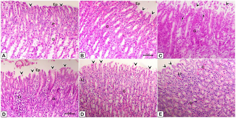 Figure 29