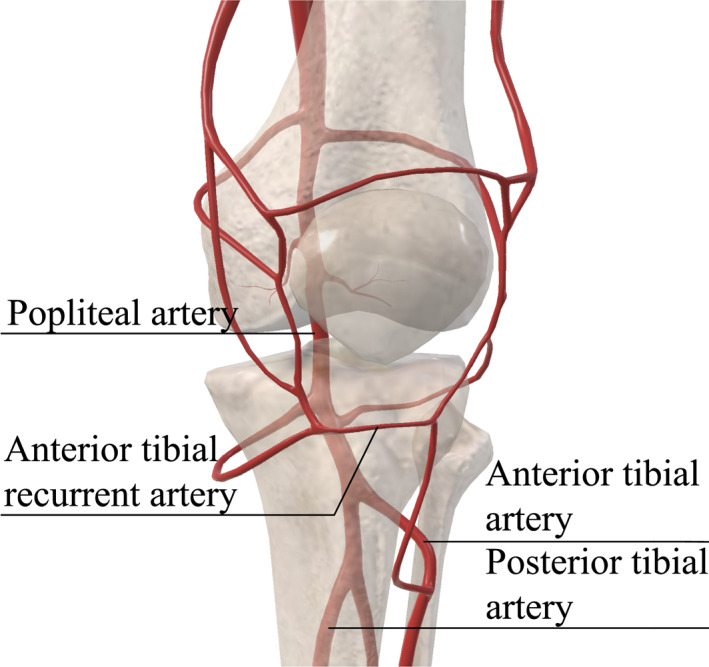 FIGURE 2