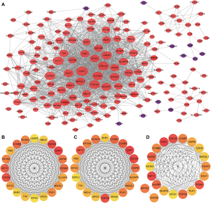 FIGURE 4