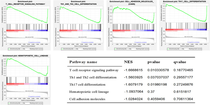 FIGURE 6