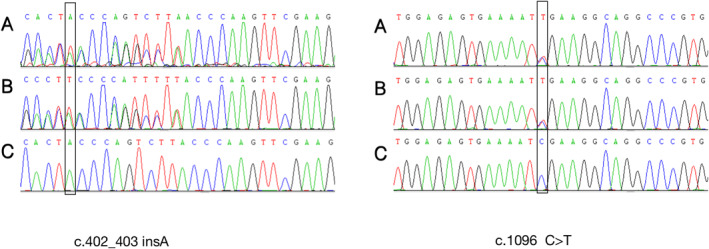 FIGURE 2