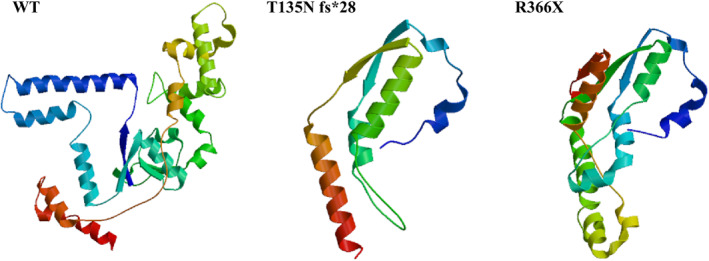 FIGURE 3