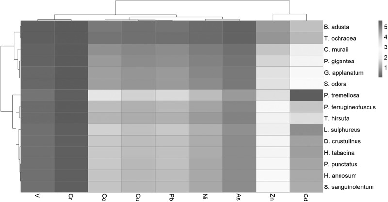 Figure 25