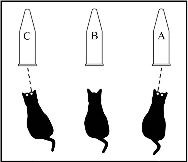 Fig 5