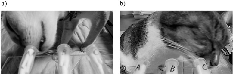 Fig 6