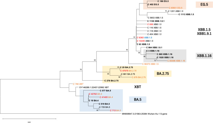 Fig 2