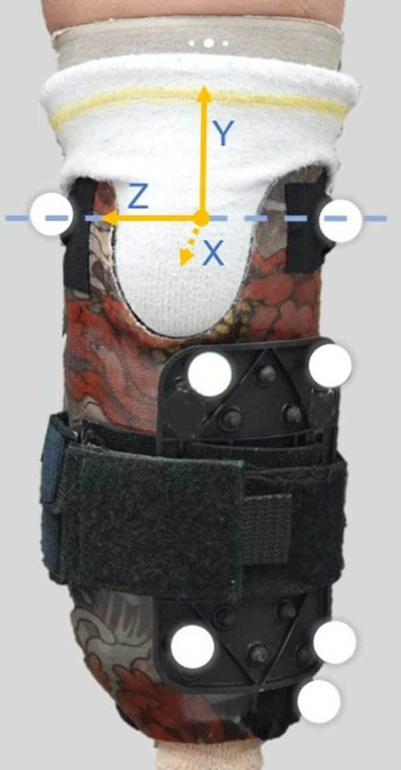 Fig 3