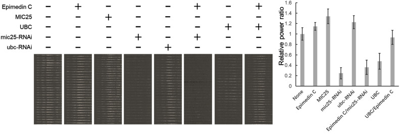 Fig 11