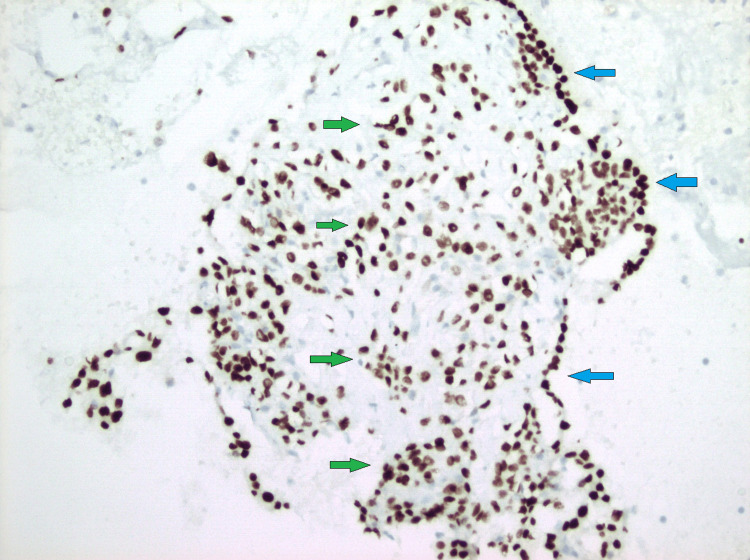 Figure 5