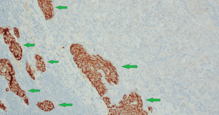 Figure 13