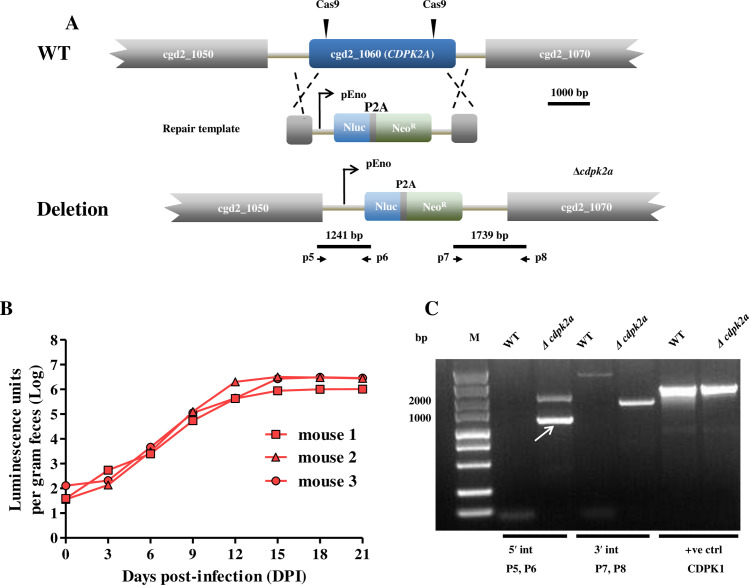 Fig 3