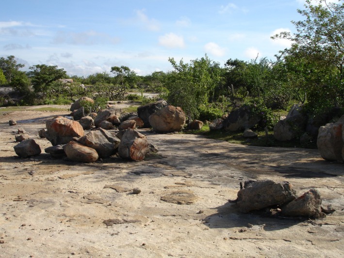 FIGURE 1