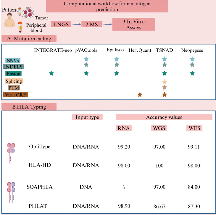 Figure 3