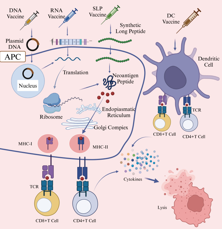 Figure 4