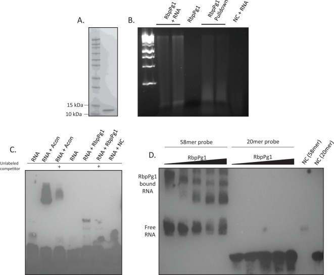 Figure 3