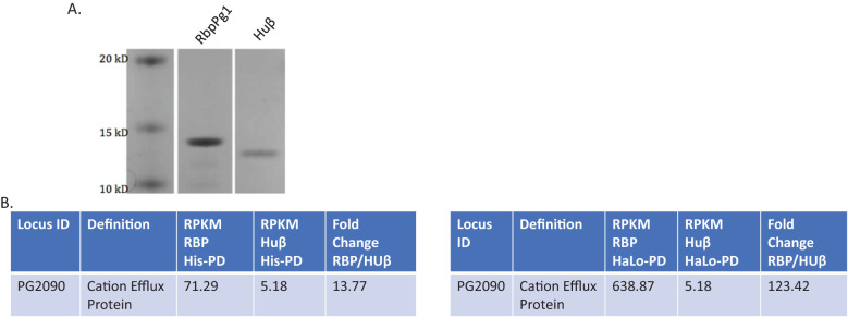 Figure 4