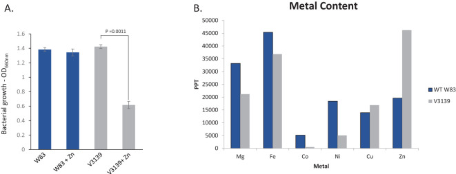 Figure 5