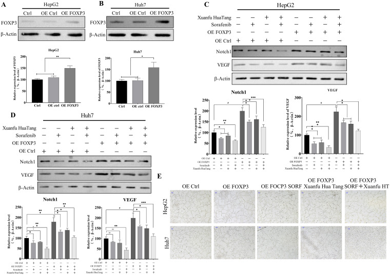 Figure 6