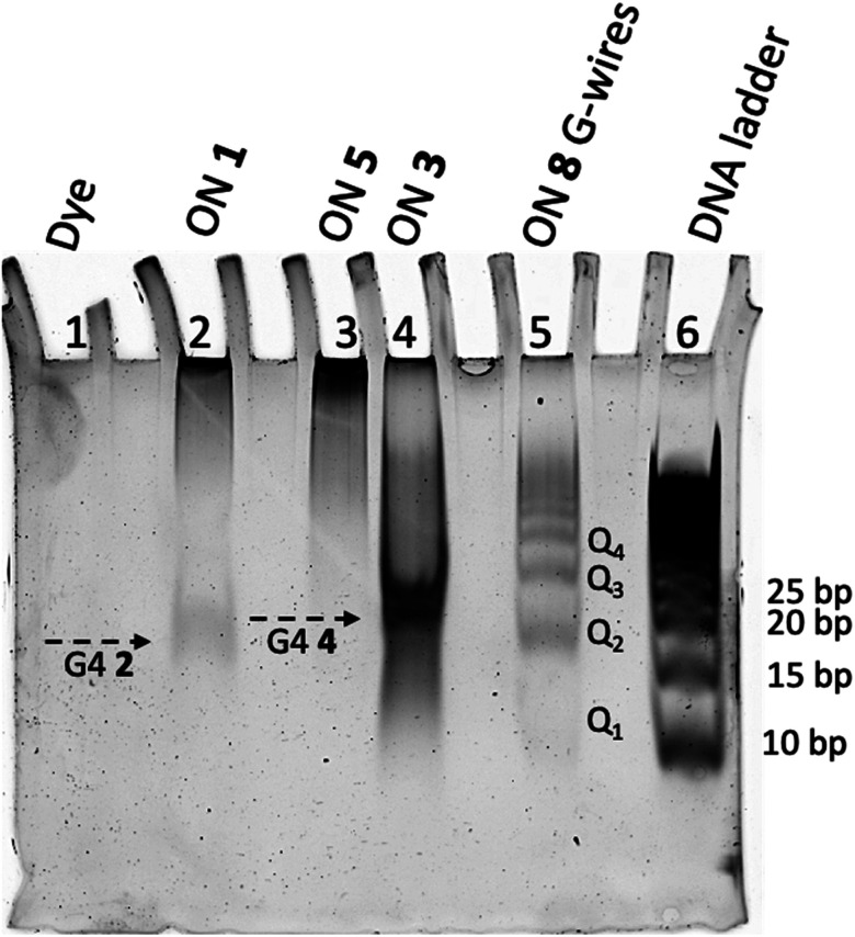 Fig. 7