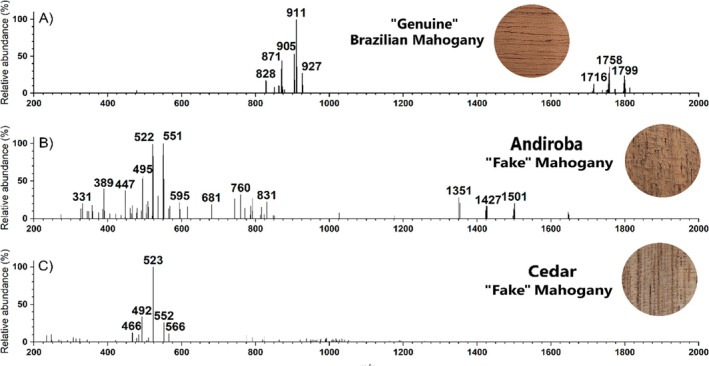 FIGURE 4
