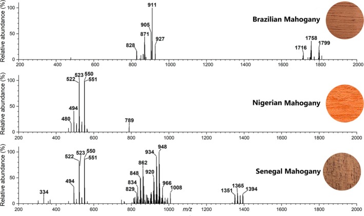 FIGURE 3
