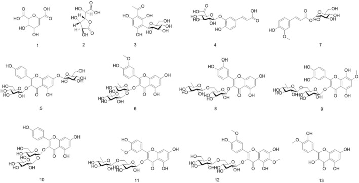 FIGURE 2