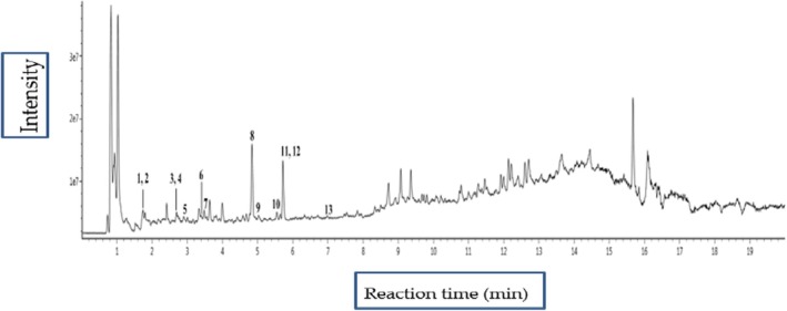 FIGURE 1