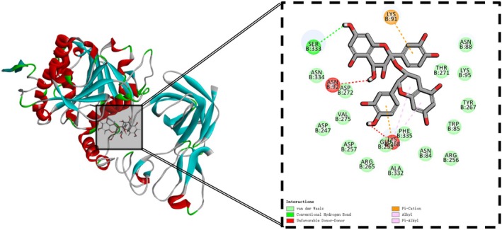 FIGURE 4