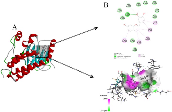 FIGURE 18