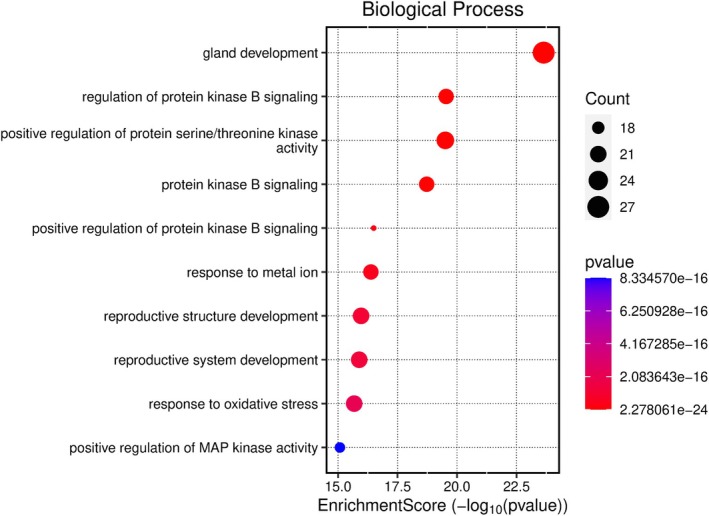 FIGURE 13