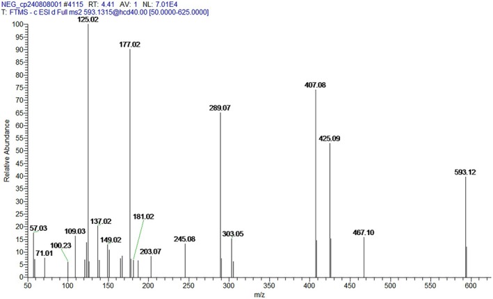 FIGURE 3
