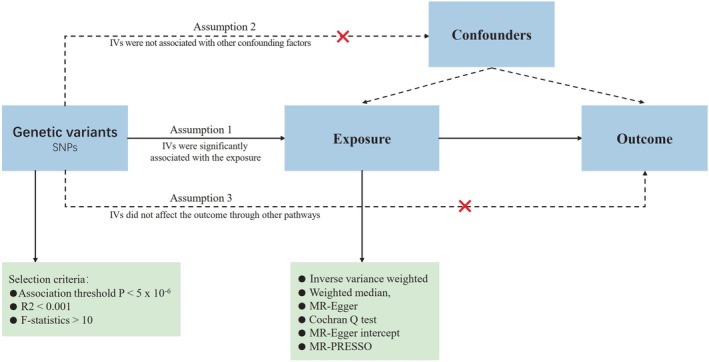 FIGURE 1