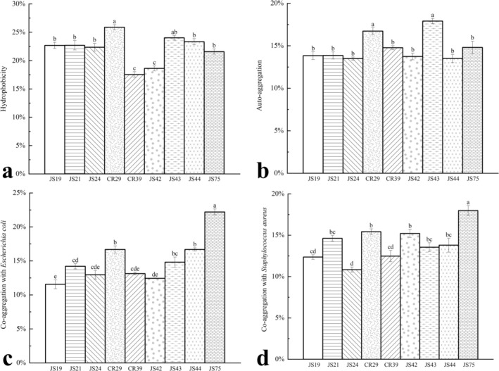FIGURE 11