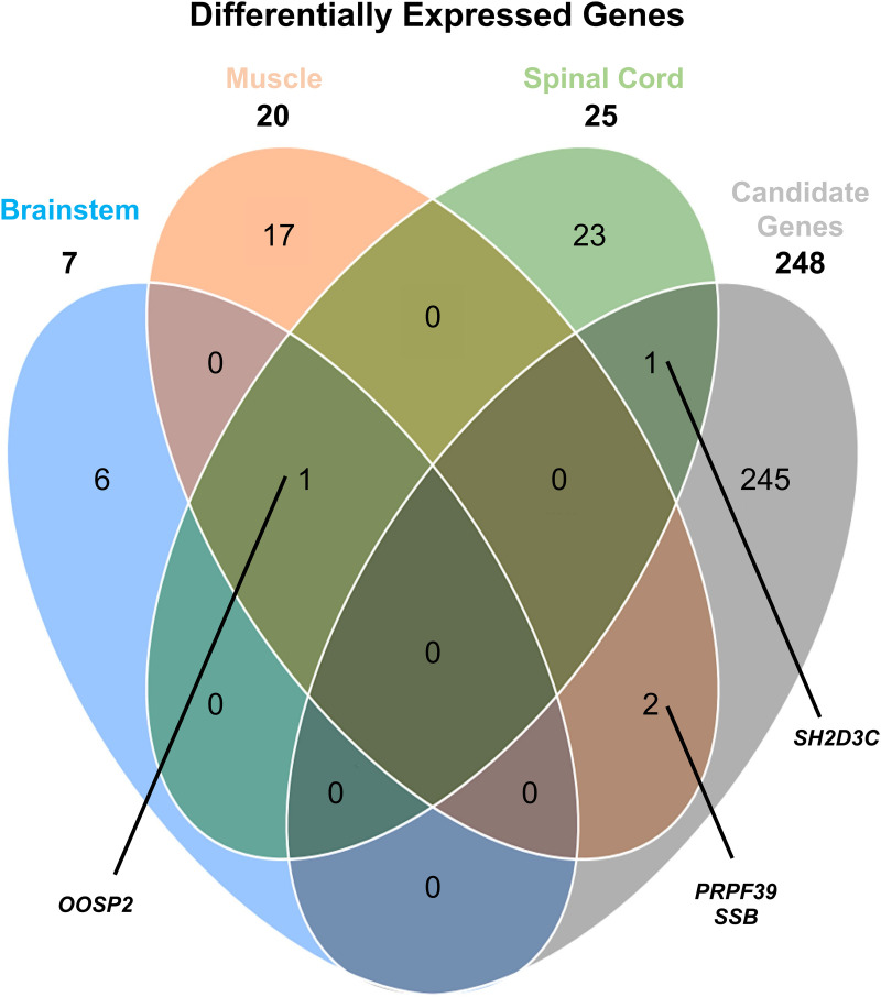 Fig 8
